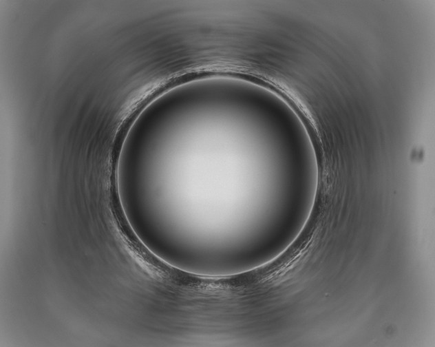 X0000090880437200707271314