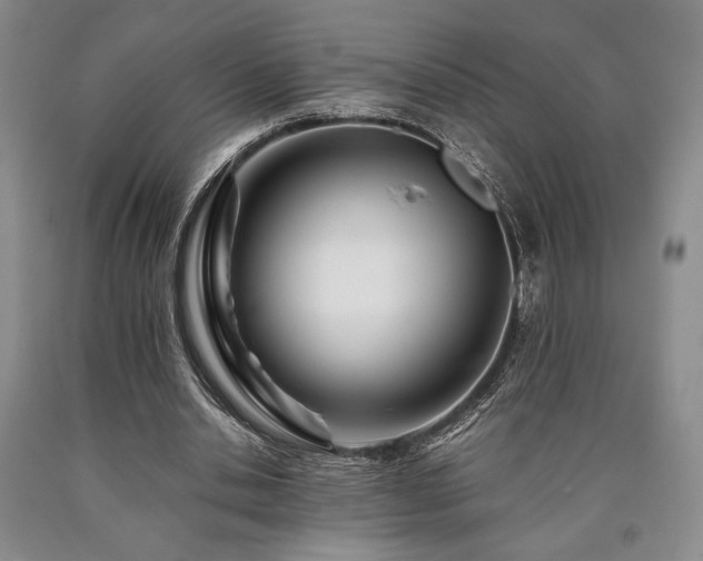 X0000090880438200707271314
