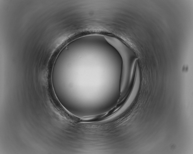 X0000090880440200707271314