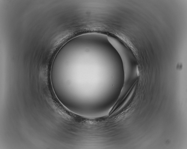 X0000090880442200707271315