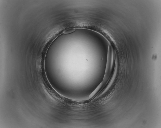 X0000090880443200707271315