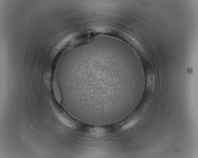 X0000090880444200707271315