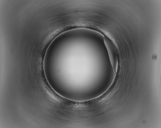 X0000090880445200707271315