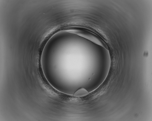 X0000090880446200707271315