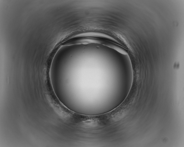 X0000090880447200707271315