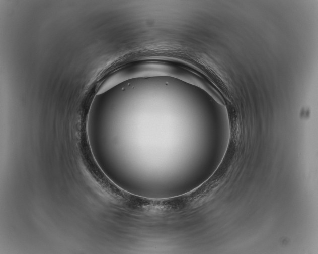 X0000090880448200707271315