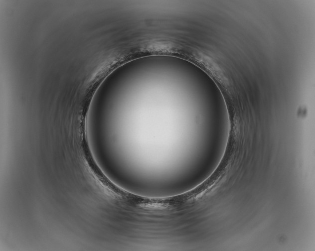 X0000090880449200707271315