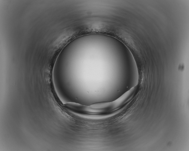 X0000090880450200707271315