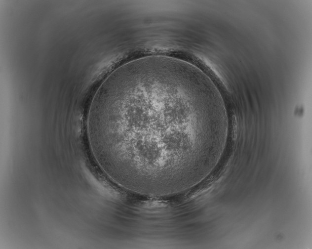 X0000090880451200707271315