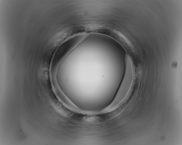 X0000090880452200707271315