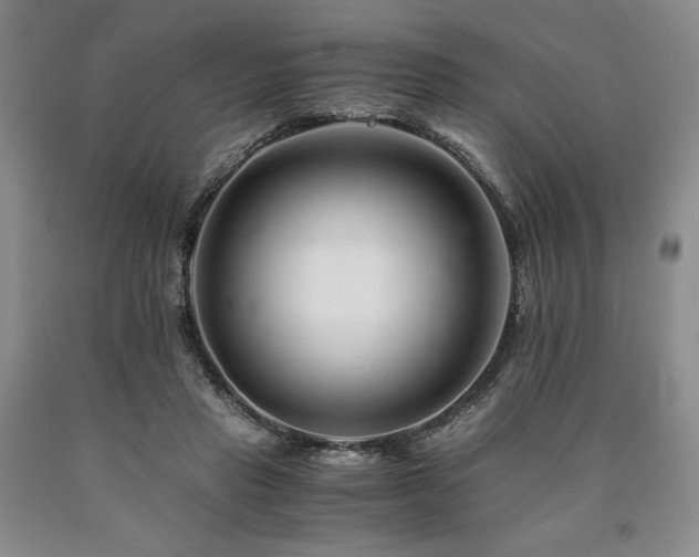 X0000090880453200707271315