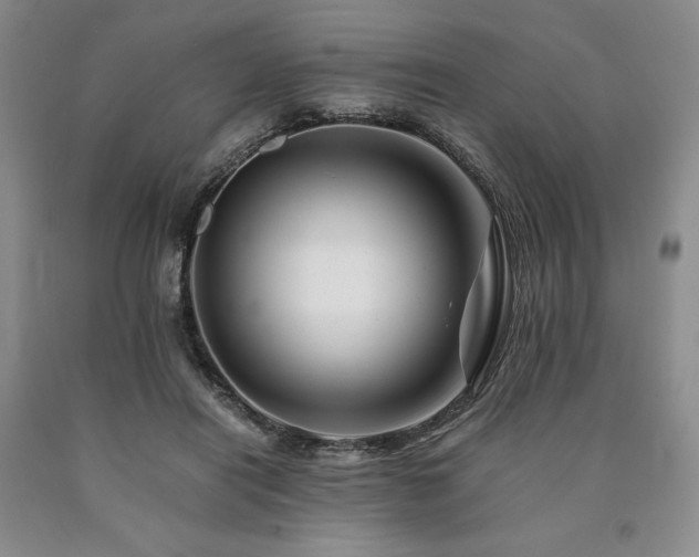 X0000090880454200707271315