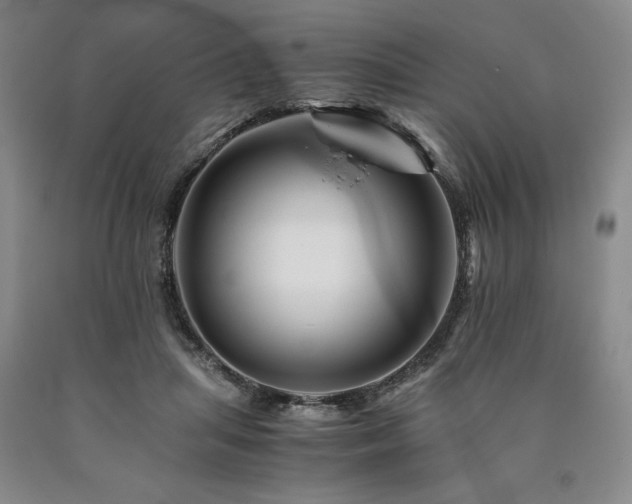 X0000090880455200707271315