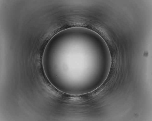 X0000090880457200707271315