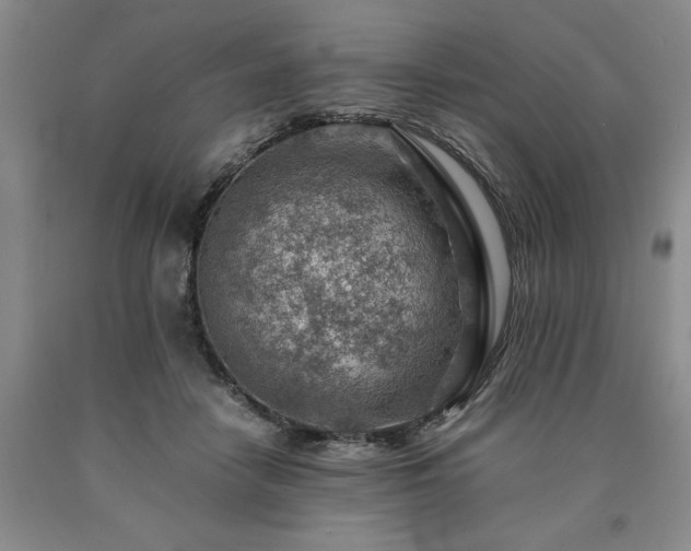 X0000090880458200707271315