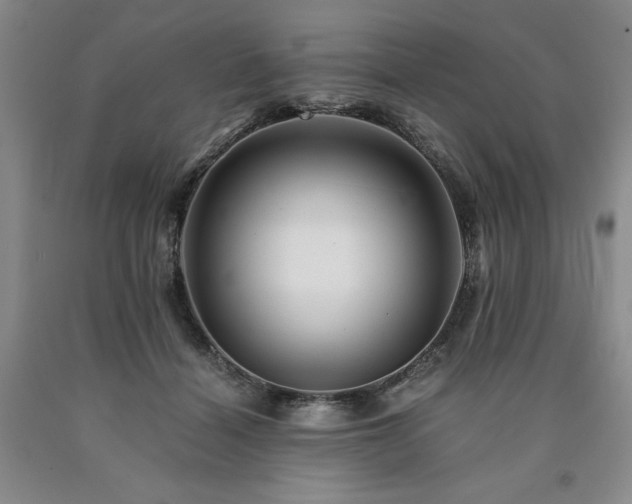 X0000090880460200707271315