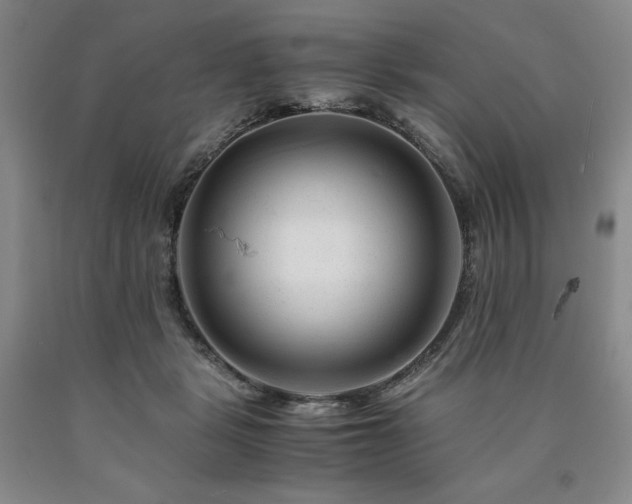 X0000090880461200707271315