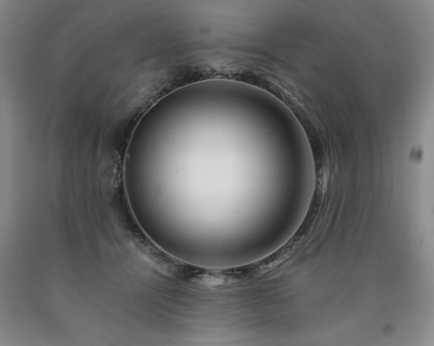 X0000090880464200707271315