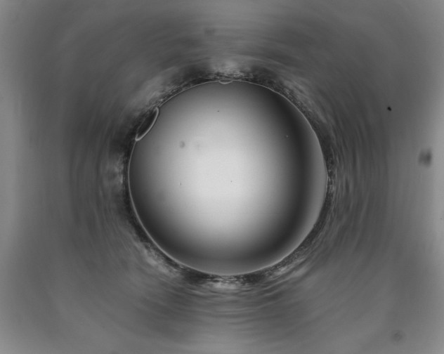 X0000090880466200707271315