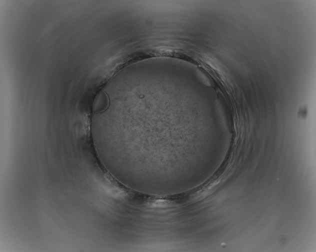 X0000090880467200707271315