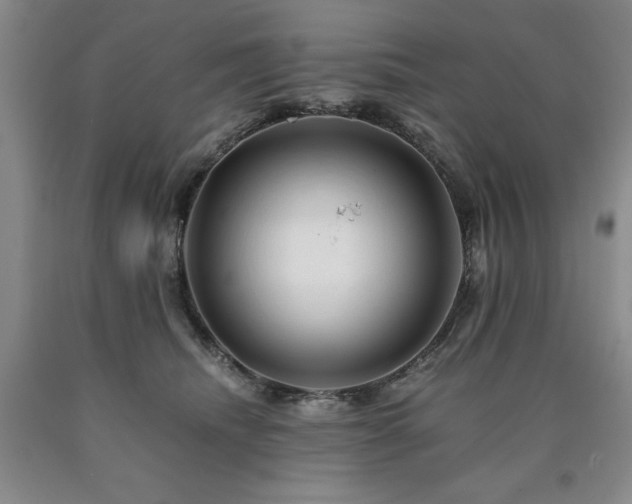 X0000090880468200707271315