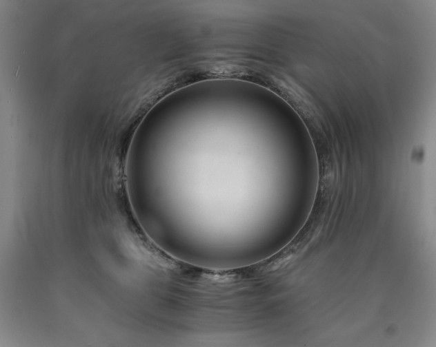 X0000090880469200707271315