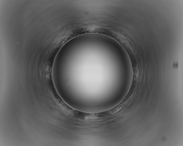 X0000090880470200707271315