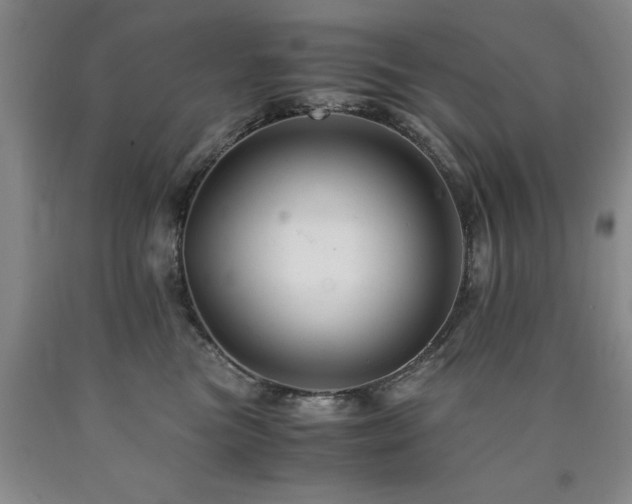 X0000090880473200707271315