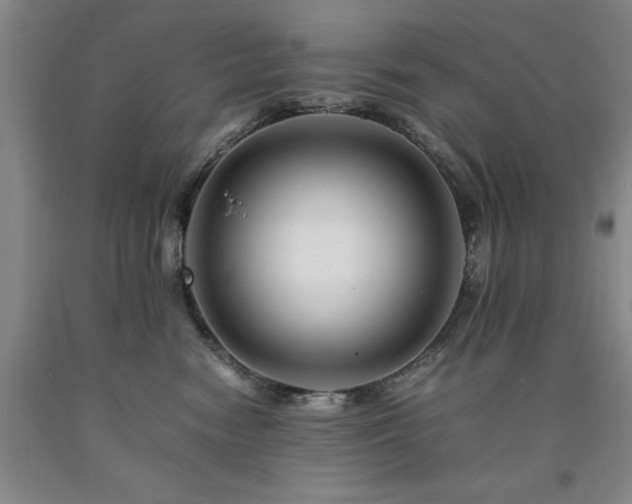 X0000090880474200707271315