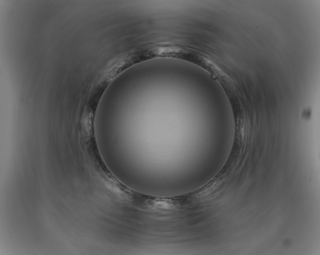 X0000090880475200707271315