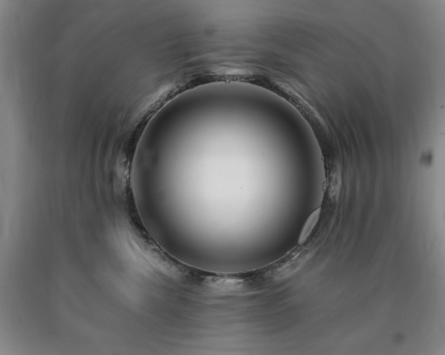 X0000090880476200707271315
