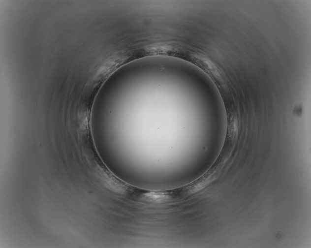 X0000090880477200707271315