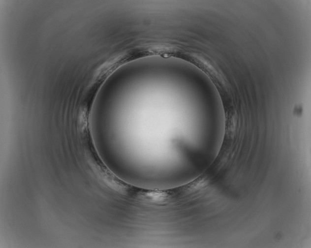 X0000090880478200707271315
