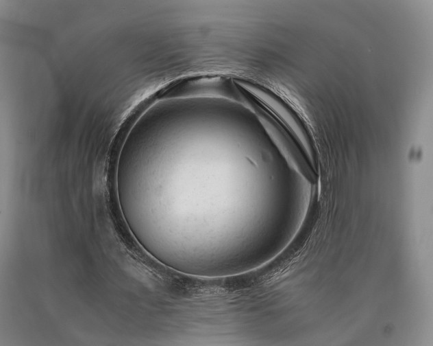 X0000090880483200707271314