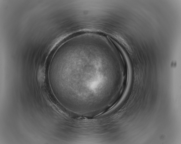 X0000090880484200707271314