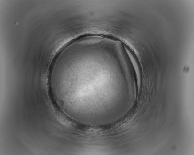 X0000090880487200707271314