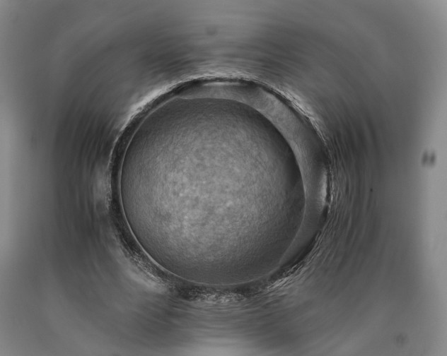 X0000090880488200707271314