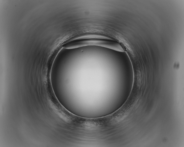 X0000090880490200707271314