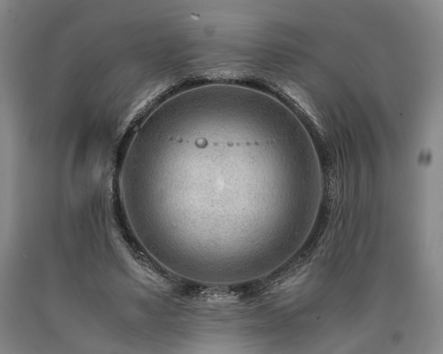 X0000090880491200707271314