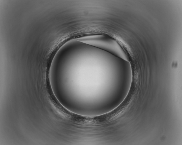 X0000090880493200707271314