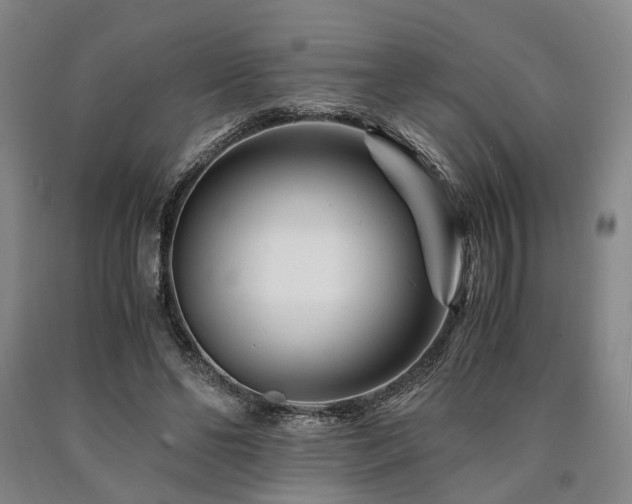 X0000090880494200707271314