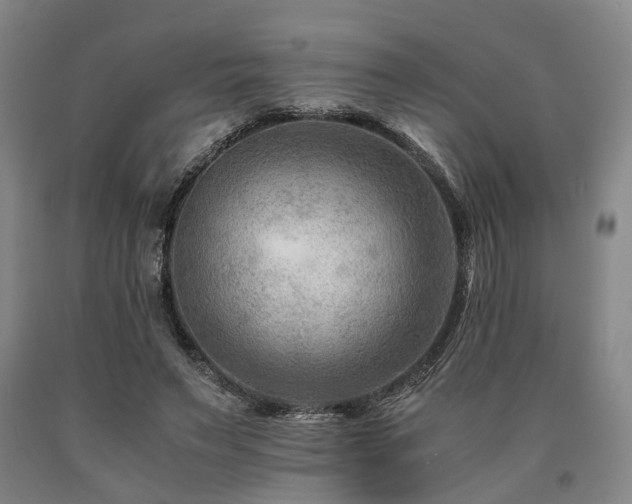 X0000090880495200707271314