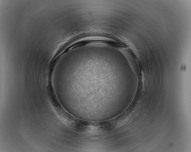 X0000090880496200707271314