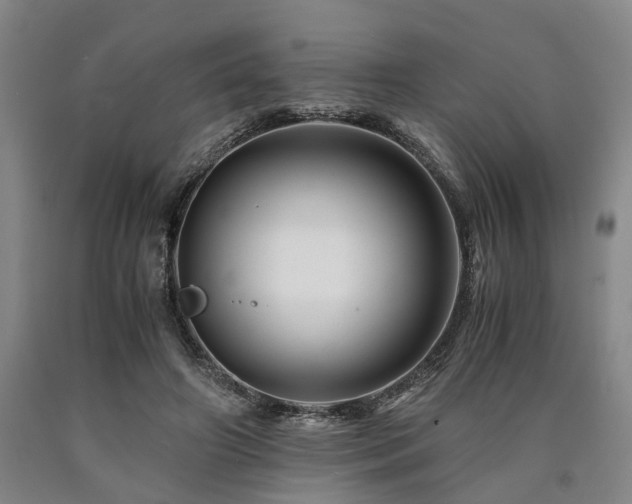 X0000090880498200707271314