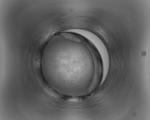 X0000090880499200707271314