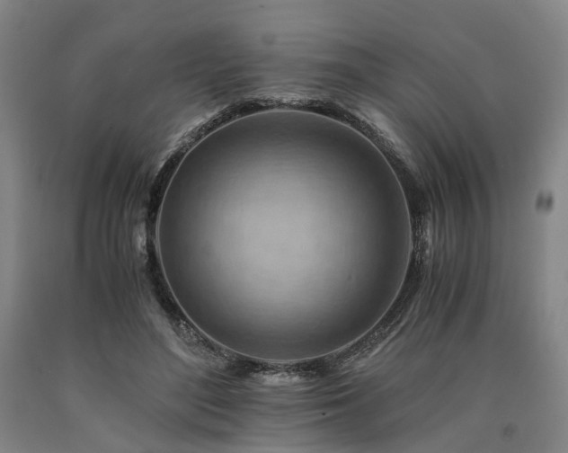 X0000090880500200707271314