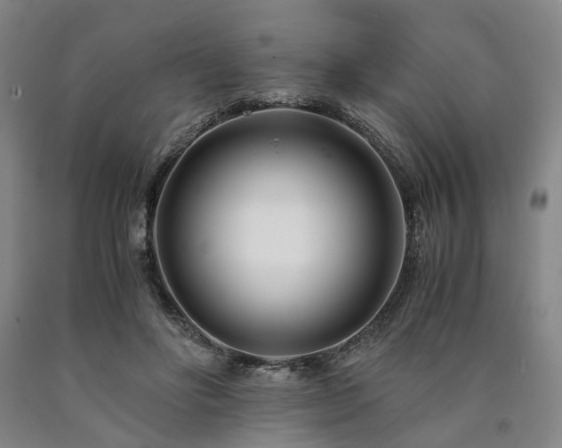 X0000090880502200707271314