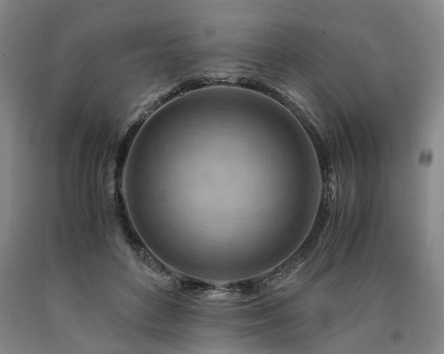 X0000090880504200707271314