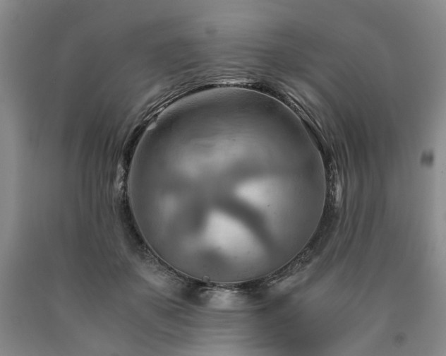 X0000090880507200707271314