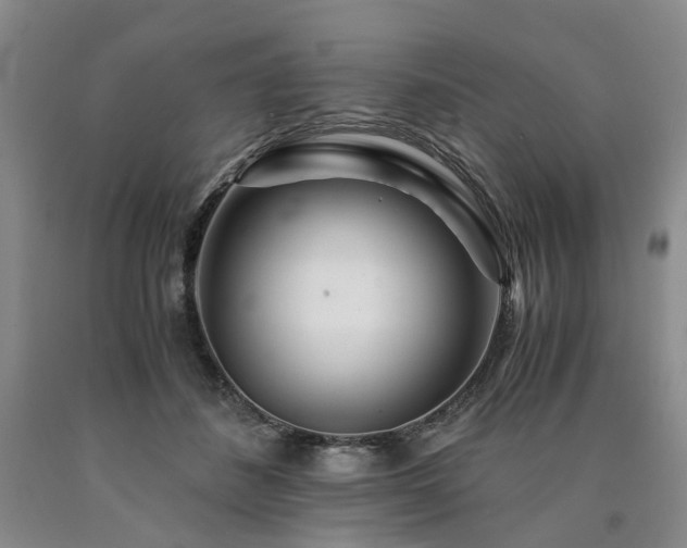X0000090880508200707271314